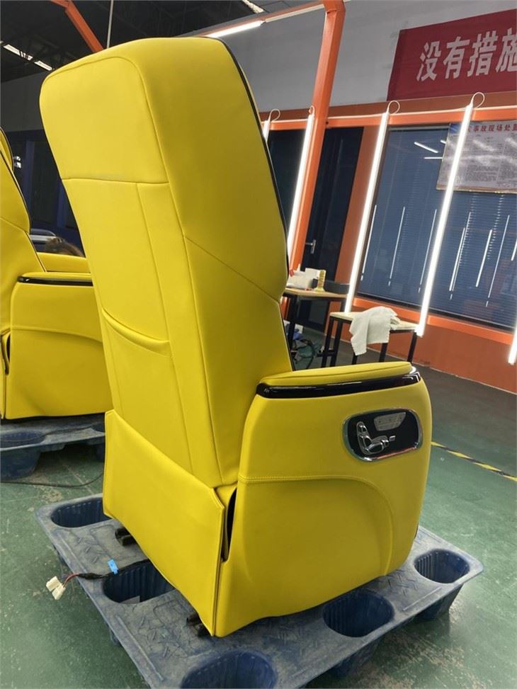 Fancy Car Seat