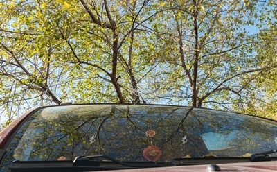 Mengapa cermin depan kereta condong?